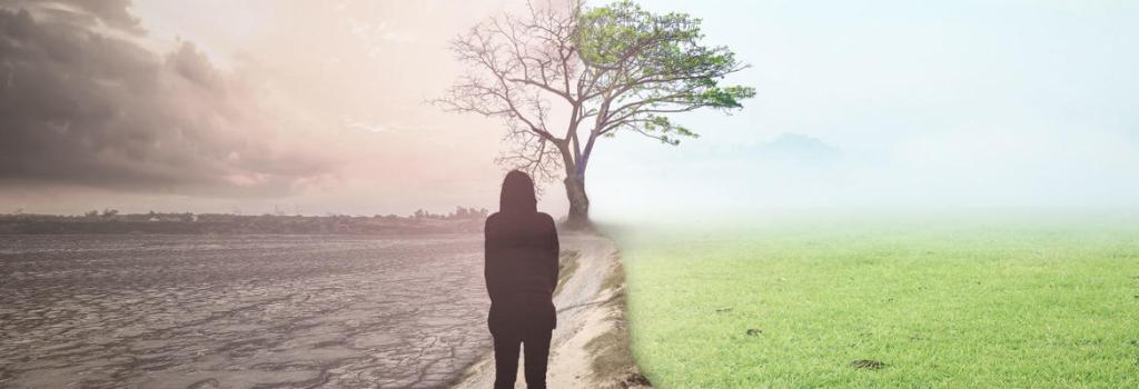 Person between barren land, and lush grass